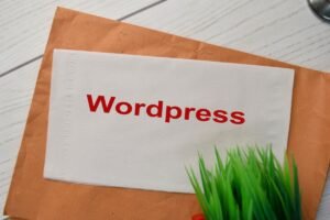 WordPress Plugins