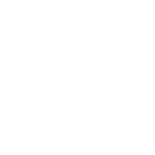 Launch & Promote Icon