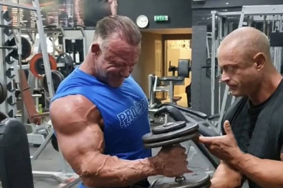 MP Musculus - SwitchUp Marketing